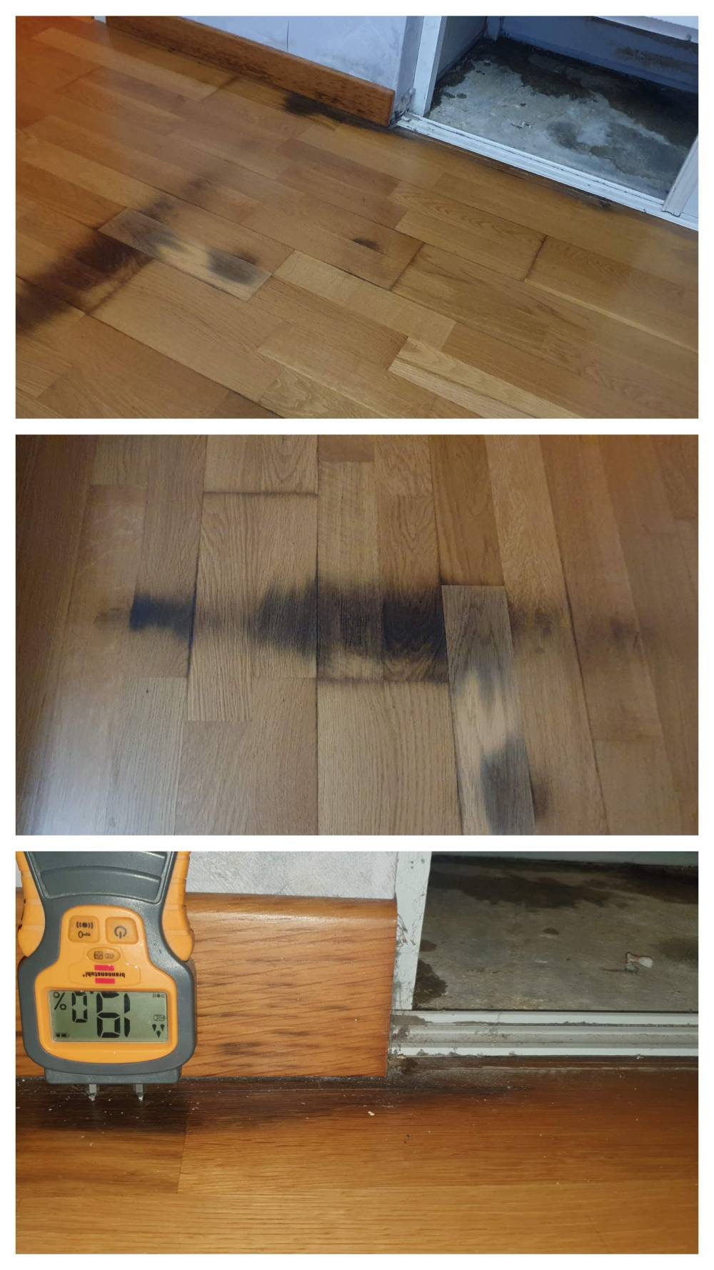 20231014_115522-COLLAGE