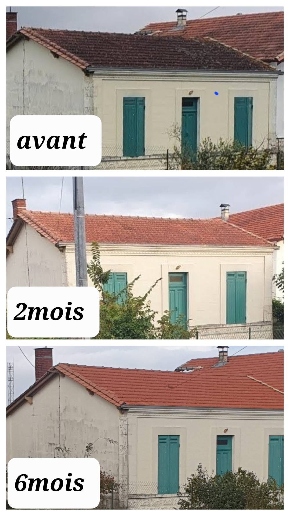 20231027_173344-COLLAGE