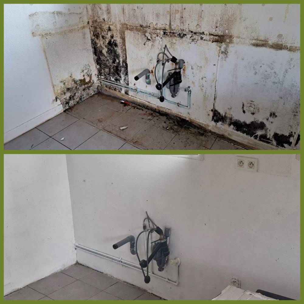 GridArt_20250325_101313589.